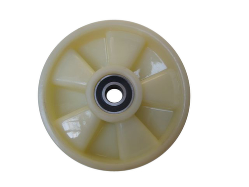 RAPIDLIFT Palettenhubwagen, 2500 kg Traglast, Nylon/Nylon