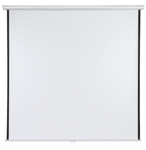 Franken Rolloleinwand mit manueller Bedienung