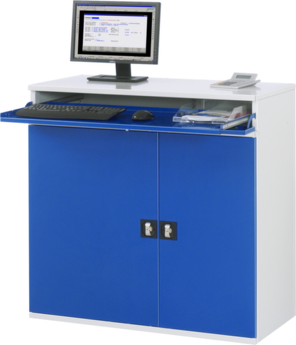 RAU PC-Schrank 60, RAL7035 Lichtgrau/RAL5010 Enzianblau