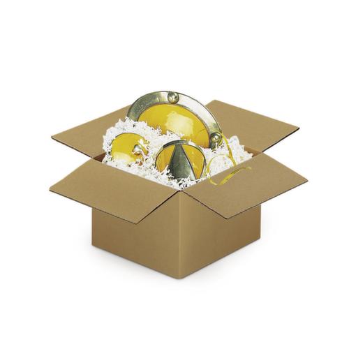 Wellpapp-Faltkarton 1-wellig