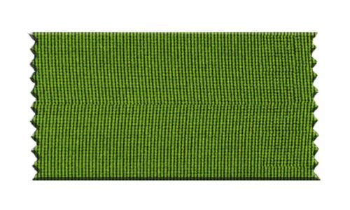 Personenleitsystem CLASSIC DOUBLE mit 2 GurtbÀndern und Pfosten, GurtlÀnge 2,3 m, Pfosten Satin