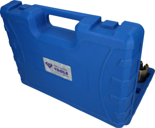 Brilliant Tools Hinterachs-Längslenkerbuchsen-Werkzeug-Satz