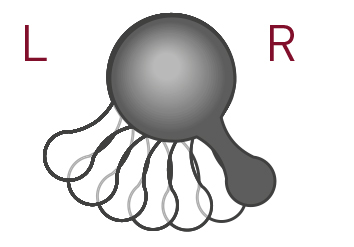 KRAFTWERK® 12-t. CLICKRAFT Rev. Gari-schlüsselsatz