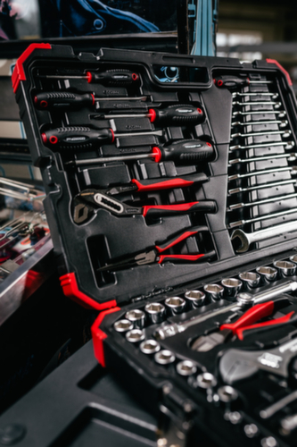 GEDORE R46003100 Steckschlüssel-Satz 1/4"+1/2" 10-32mm 100-teilig