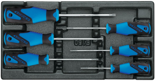 GEDORE 1500 ES-2163 TX Schraubendreher-Satz in 1/3 ES-Modul