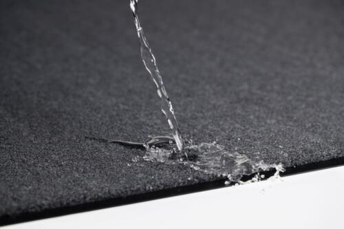 Miltex Schmutzfangmatte Eazycare Aqua für Innenbereiche