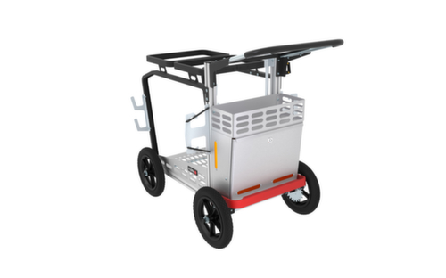 Flora Großer Reinigungswagen Piccobello Metropol