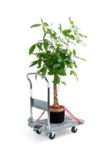 RuXXac Schiebebügelwagen