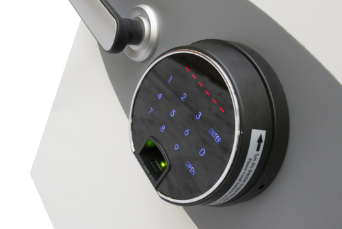 Phoenix Safe Feuerschutztresor Fire Fighter