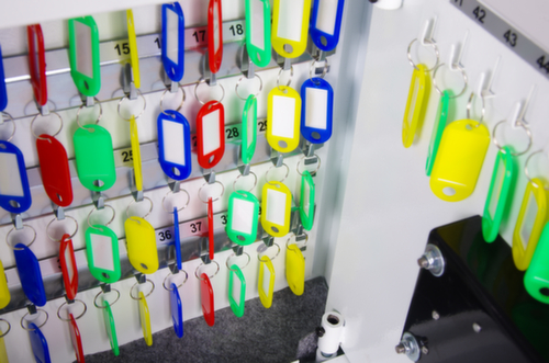 Phoenix Safe Schlüsselschrank CYGNUS