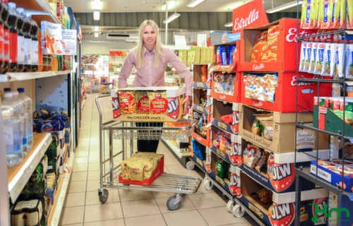 Kongamek Plattformwagen, Traglast 300 kg