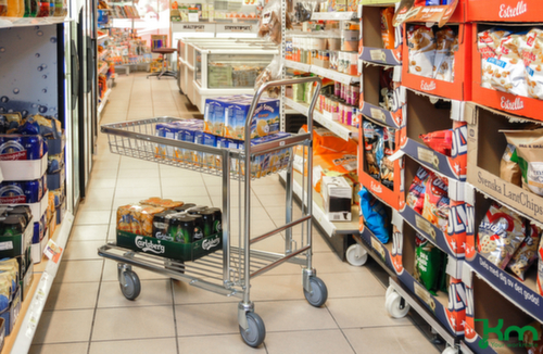 Kongamek Plattformwagen, Traglast 300 kg