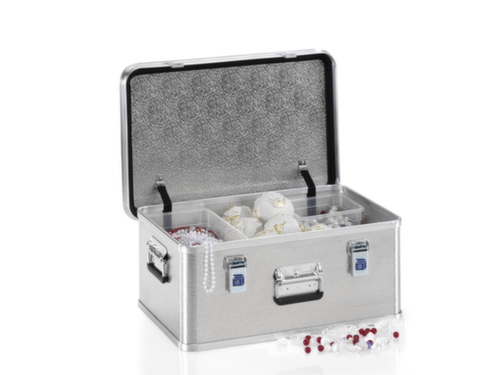 Gmöhling Transportiste G®-professional BOX aus Aluminium-Strukturblech