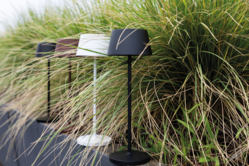 MAUL LED-Tischleuchte MAULnina, Licht warmweiß, weiß