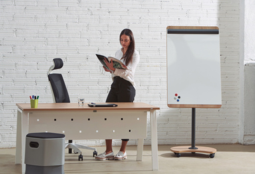 Rocada Mobiles Flipchart NAT0616 mit 2 Papierhaltern, Höhe 2000 mm