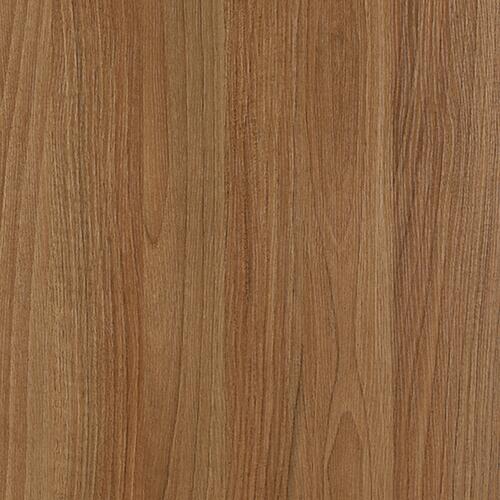 Gera Flügeltürenschrank Pro, 2 Ordnerhöhen