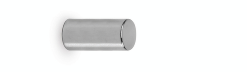 Scheibenmagnet