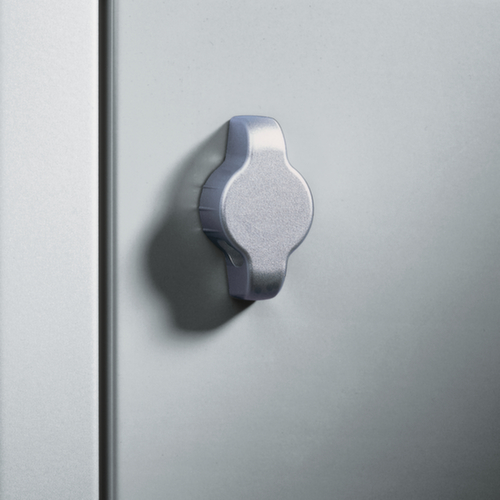 C+P Kleiderschrank Classic mit 2 gemeinsam verschließbaren Abteilen, Abteilbreite 300 mm