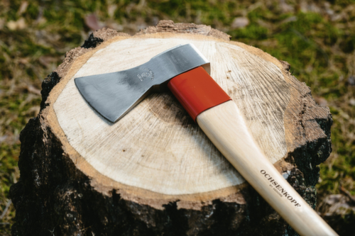 OX 620 H-1257 Universal Gold-Forstaxt ROTBAND-PLUS 1250 g