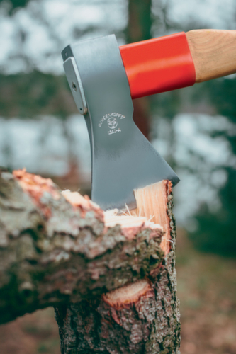 OX 620 H-1257 Universal Gold-Forstaxt ROTBAND-PLUS 1250 g