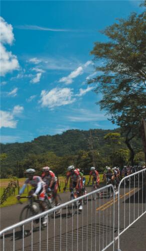 Schake Absperrgitter Typ D, Höhe x Länge 1100 x 2500 mm