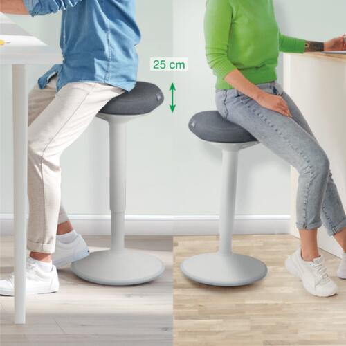Leitz Sitz-Steh-Hocker Ergo Active, Sitz grau, rutschfester Fußunterseite