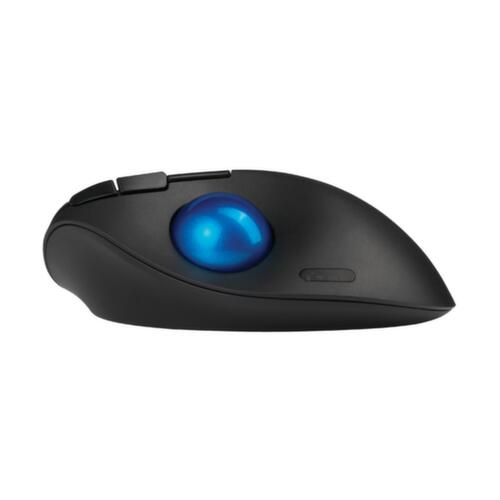 Kensington Trackball-PC-Maus ProFit