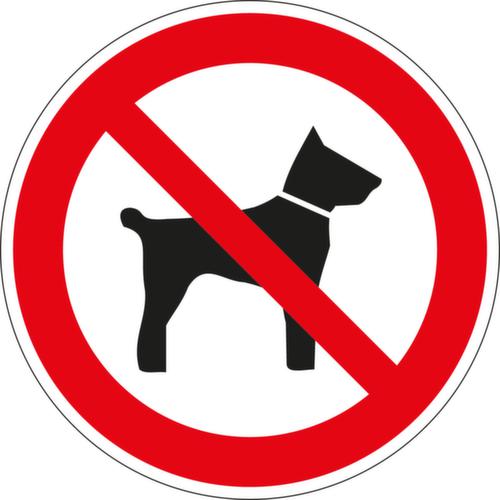 Verbotsschild Mitführen von Hunden verboten, Aufkleber, Standard Standard 1 L