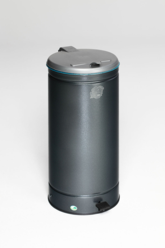 VAR Abfallbehälter GVA mit Fußpedal, 66 l, antiksilber Standard 1 L
