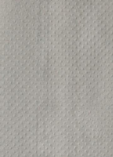 Raja Papierhandtücher Detail 2 L