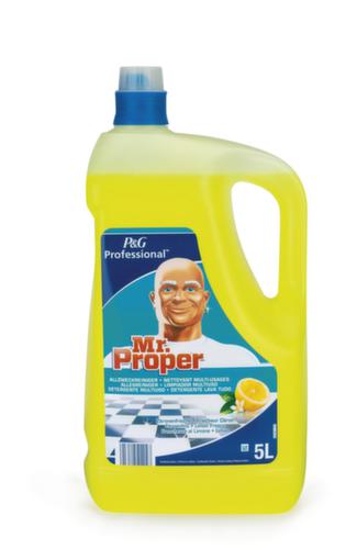 Allzweckreiniger Mr. Proper, 5 l Flasche Standard 1 L