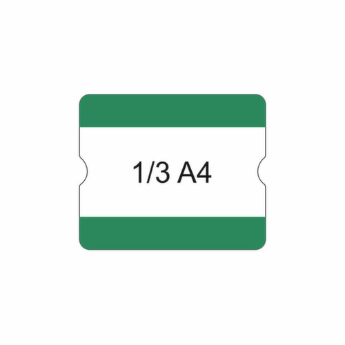 EICHNER Selbstklebende Beschriftungstasche, grün Standard 1 L