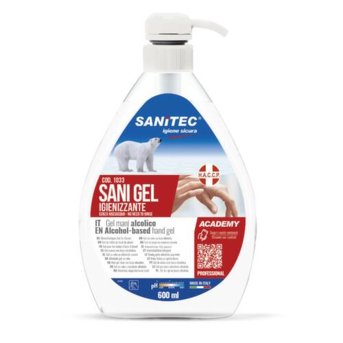 Desinfektionsmittel Sanigel, Spender, Inhalt 600 ml Standard 1 L