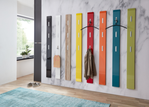 Wandgarderobe Colorado mit ausklappbaren Haken, mit 3 ausklappbare Haken, schwarz Standard 3 L
