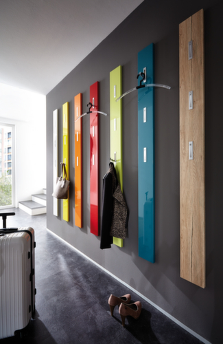 Wandgarderobe Colorado mit ausklappbaren Haken, mit 3 ausklappbare Haken, schwarz Standard 2 L