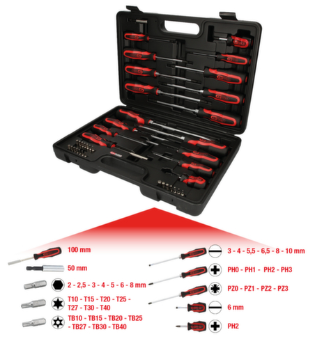 KS Tools ERGOTORQUEplus Schraubendreher- und Bit-Satz Standard 2 L