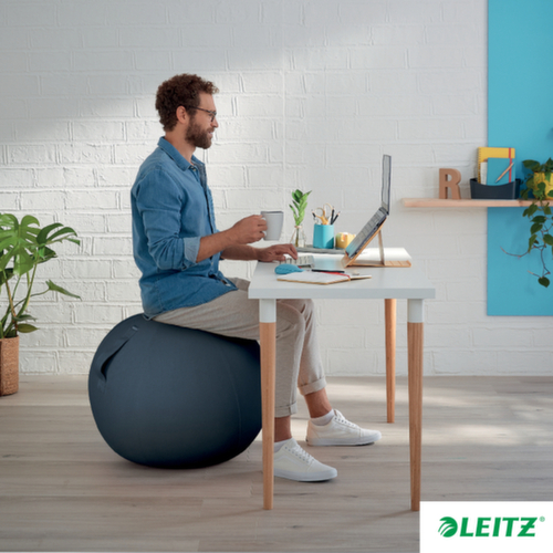 Leitz Sitzball Ergo Cosy, Sitz samtgrau Milieu 1 L