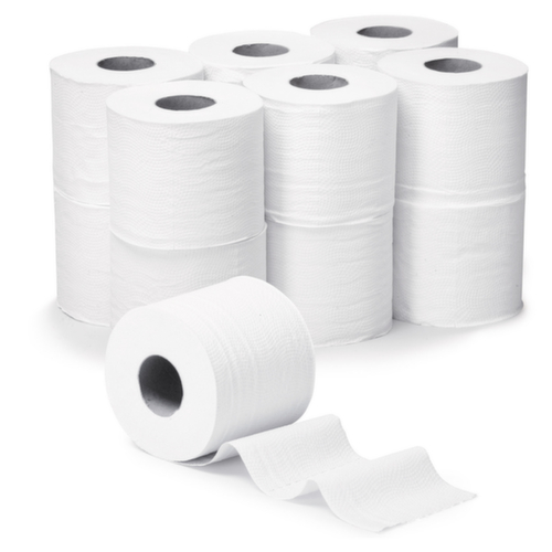 Raja Toilettenpapier, 2-lagig, recycelter Zellulose Standard 1 L