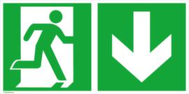 Fluchtwegschild SafetyMarking® Notausgang, Wandschild, langnachleuchtend