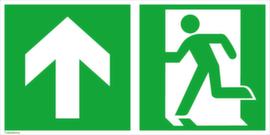 Fluchtwegschild SafetyMarking® Notausgang, Wandschild, langnachleuchtend