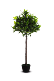 Paperflow Kunstpflanze Olivenbaum, Höhe 1250 mm