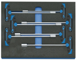 GEDORE 2005 CT2-2133 T Steckschlüssel-Satz in Check-Tool-Modul