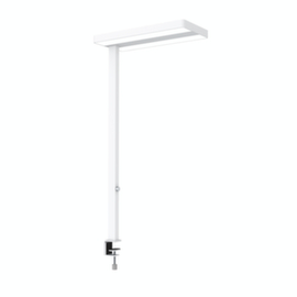 MAUL Dimmbare LED-Leuchte MAULjaval mit direktem und indirektem Licht