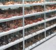 META System-Steckregal, Höhe x Breite x Tiefe 2500 x 1356 x 836 mm, 6 Böden Milieu 1 S
