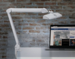 MAUL Kompakte LED-Arbeitsplatzleuchte MAULintro dimmbar, Licht kaltweiß (tageslichtweiß), weiß Standard 2 S