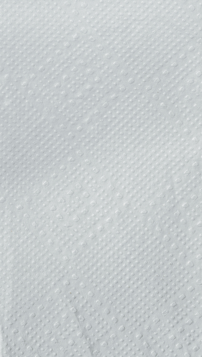 Papierhandtücher Eco aus Tissue mit W-Falz, Zellstoff Detail 1 ZOOM