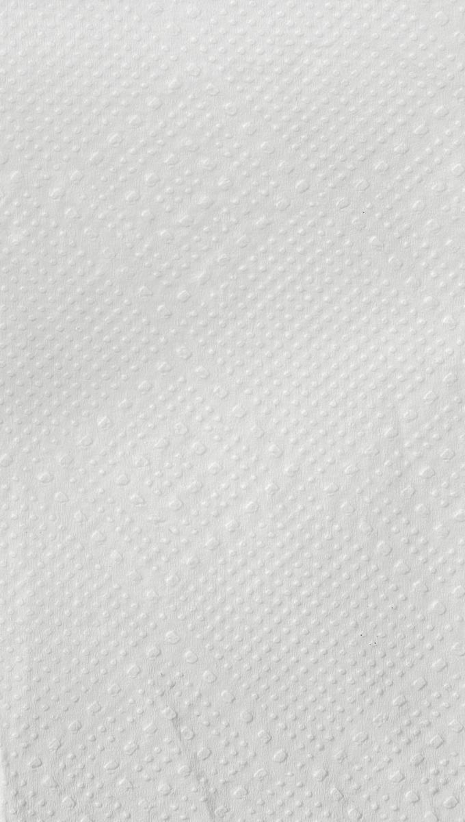 Papierhandtücher Eco aus Tissue mit W-Falz, Zellstoff Standard 5 ZOOM
