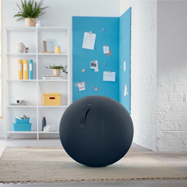 Leitz Sitzball Ergo Cosy, Sitz samtgrau Milieu 2 ZOOM