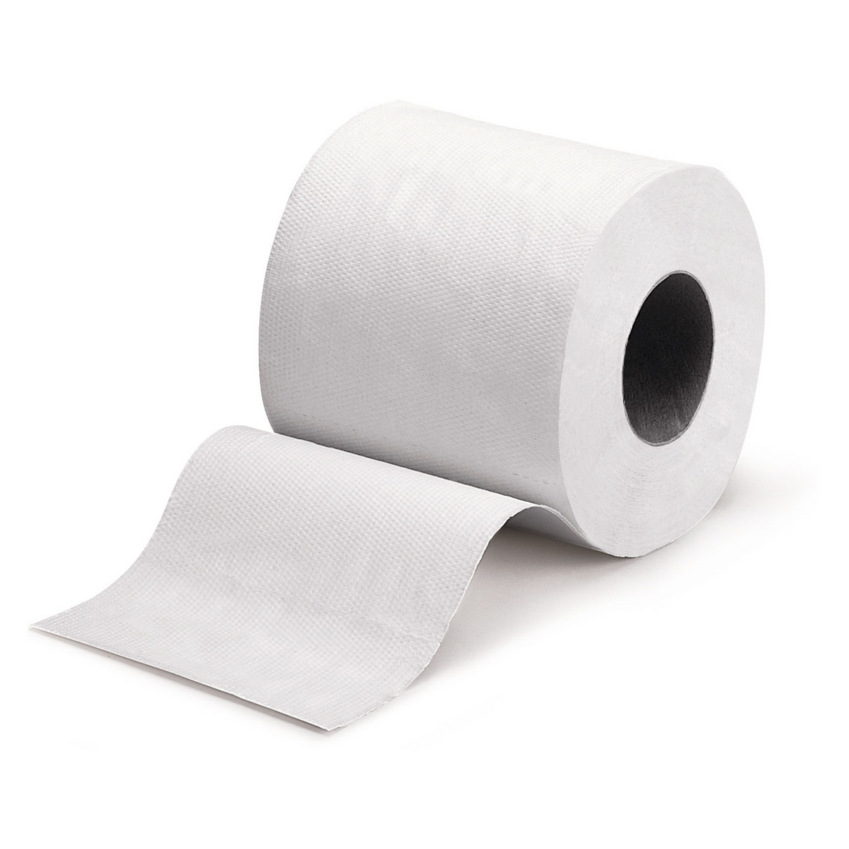 Raja Toilettenpapier Standard 1 ZOOM