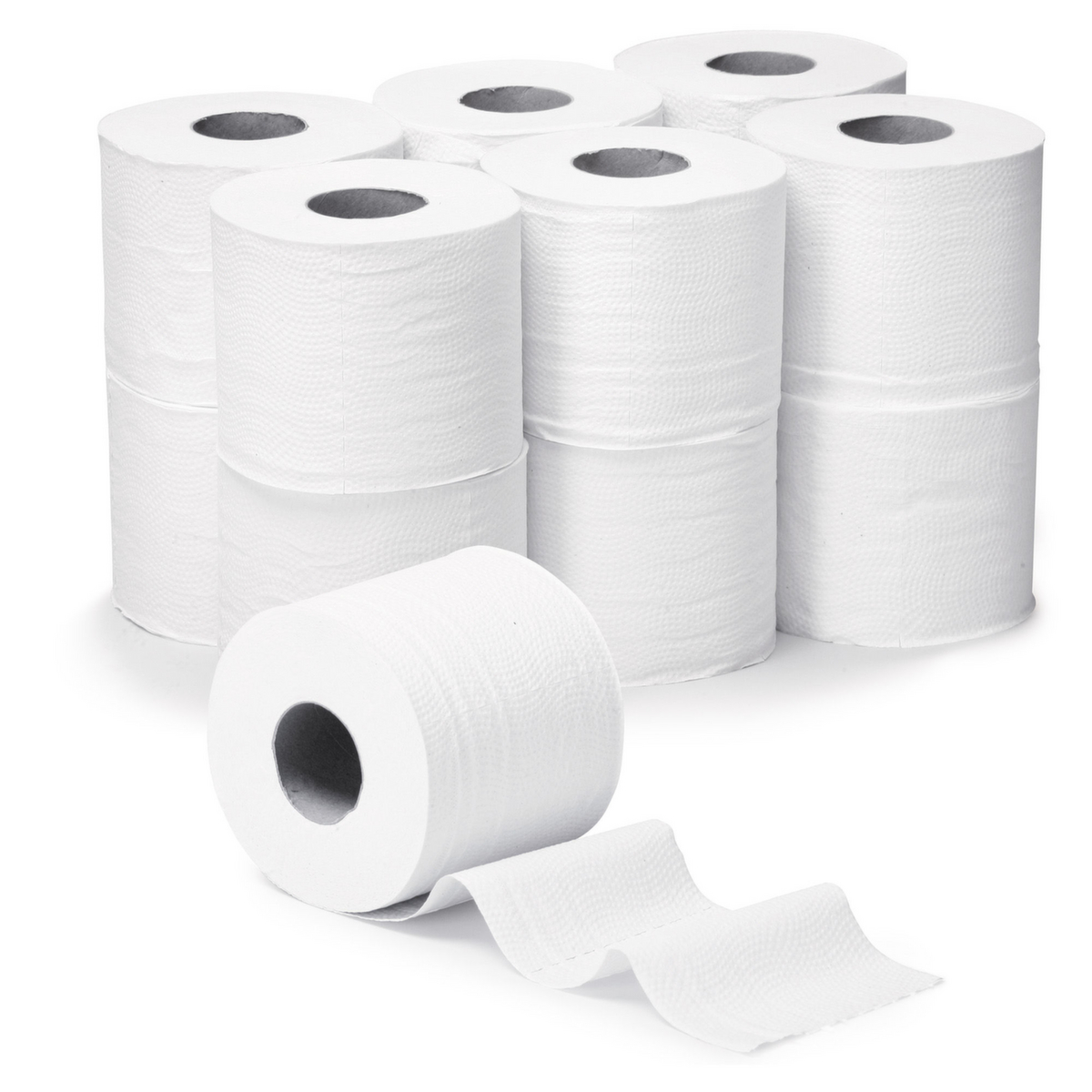 Raja Toilettenpapier, 2-lagig, recycelter Zellulose Standard 1 ZOOM